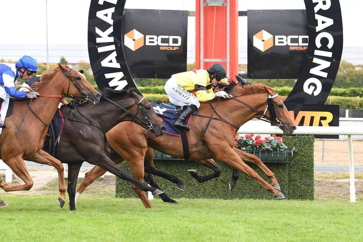 Sprint trip the key for One More Dance