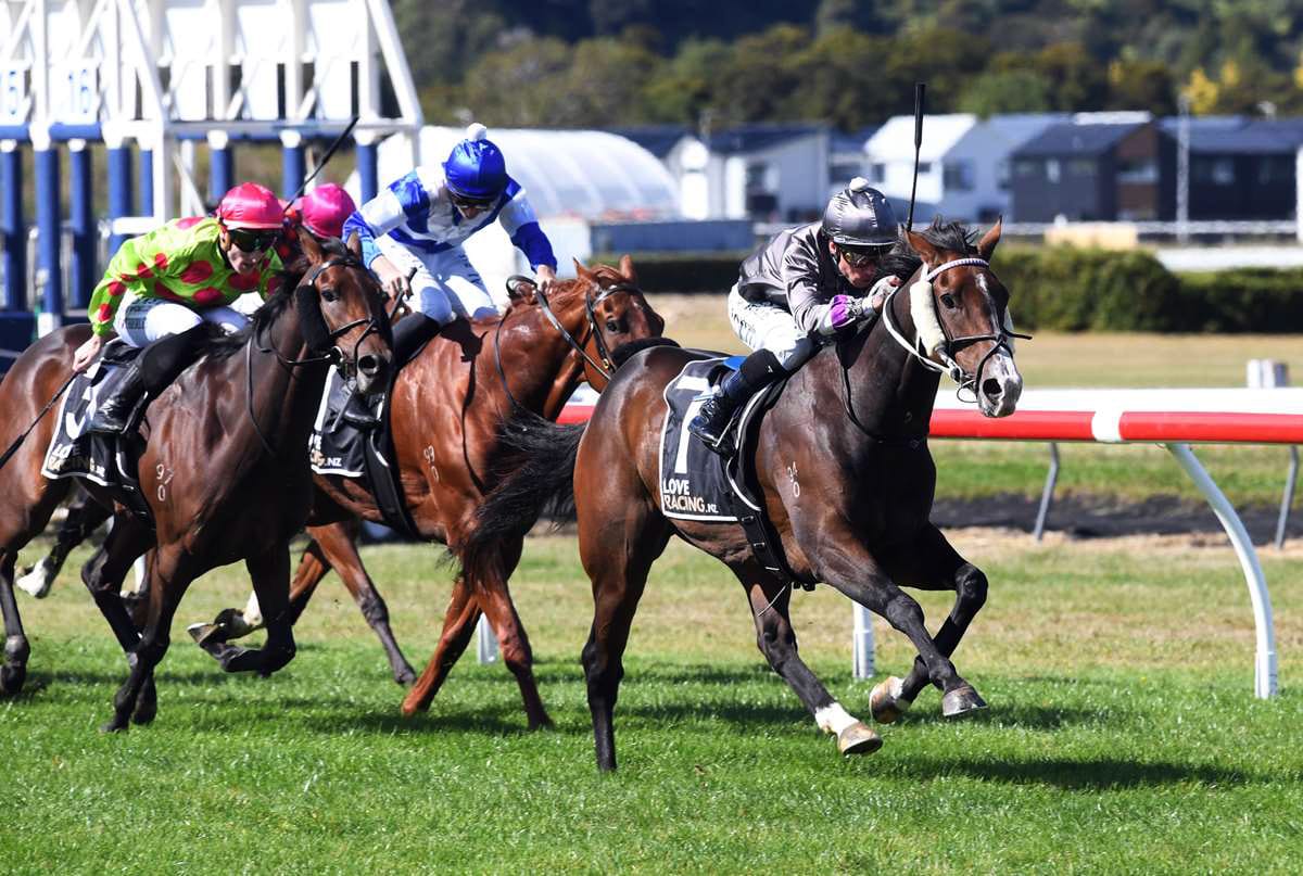 Outovstock Targeting Another Manawatu Feature