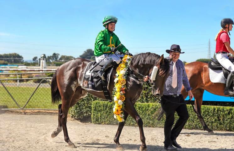 Valachi legacy living on in star filly