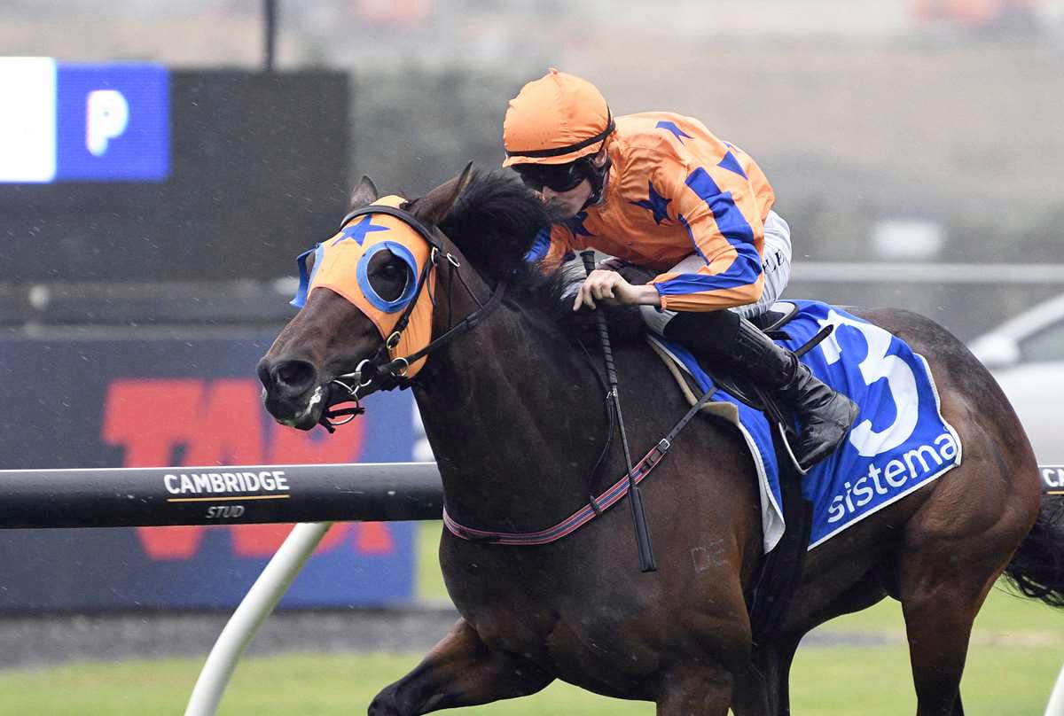 Qali Al Farrasha aims to break through for a well-deserved victory