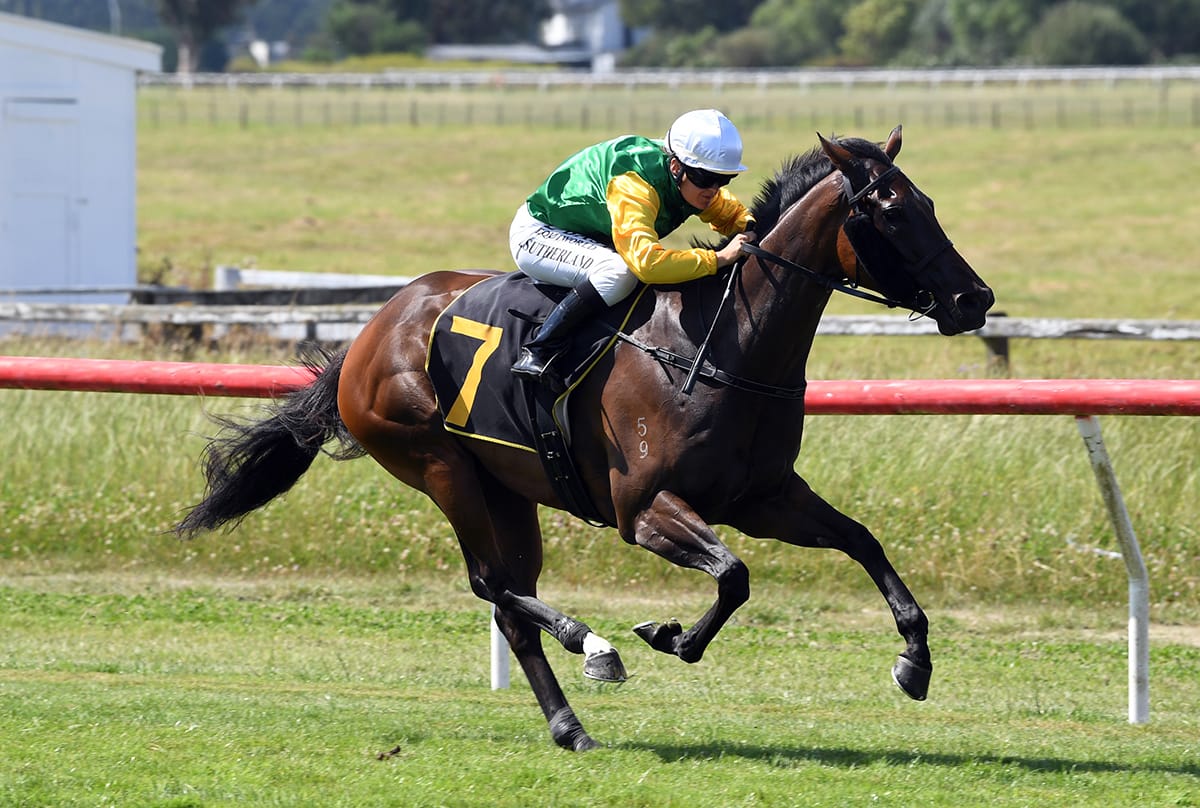 Matamata mare Reputation shines with stakes victory