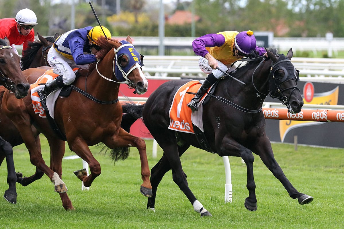 Rhinoceros steps up in distance