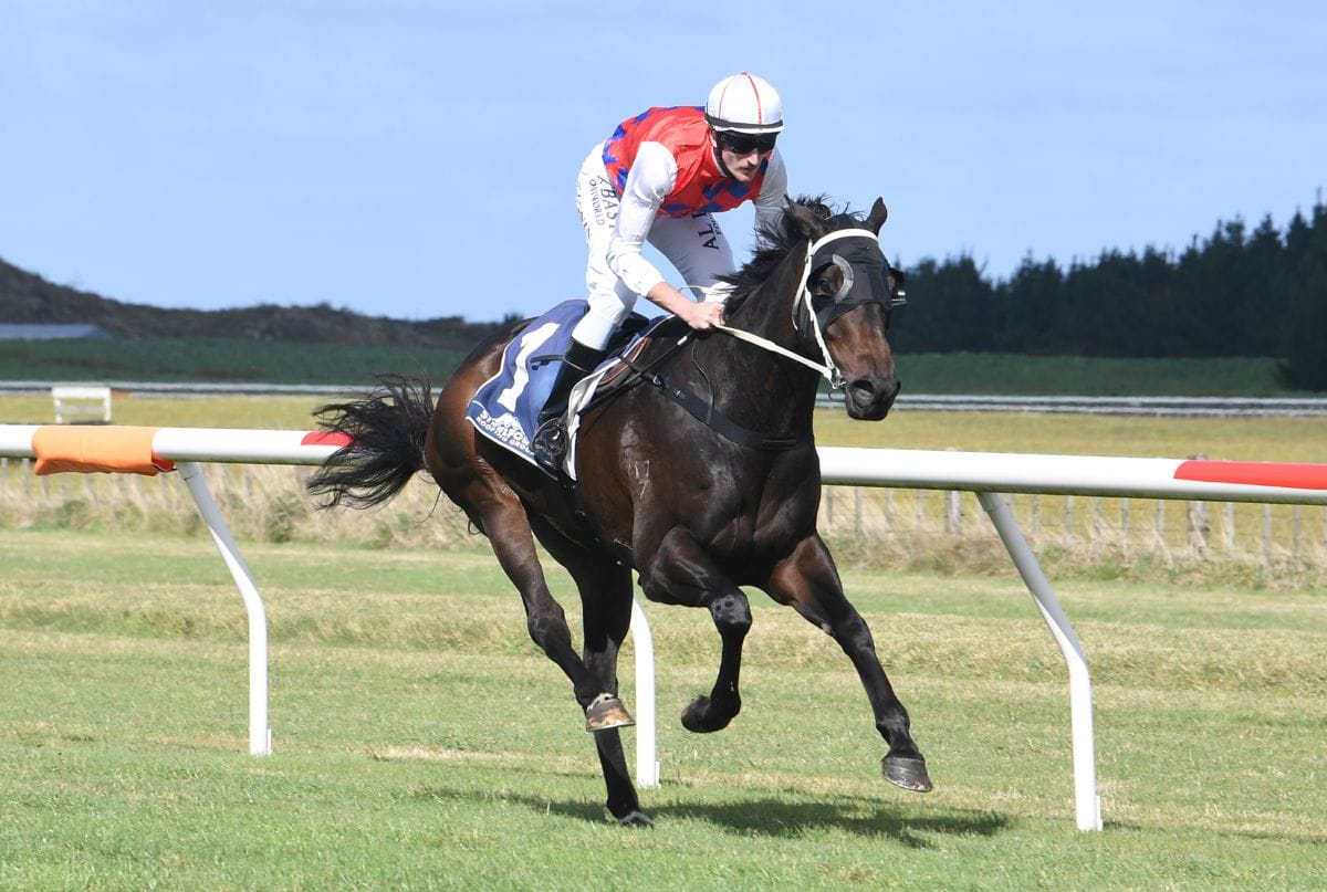 Stablemates set to clash again in Auckland Cup