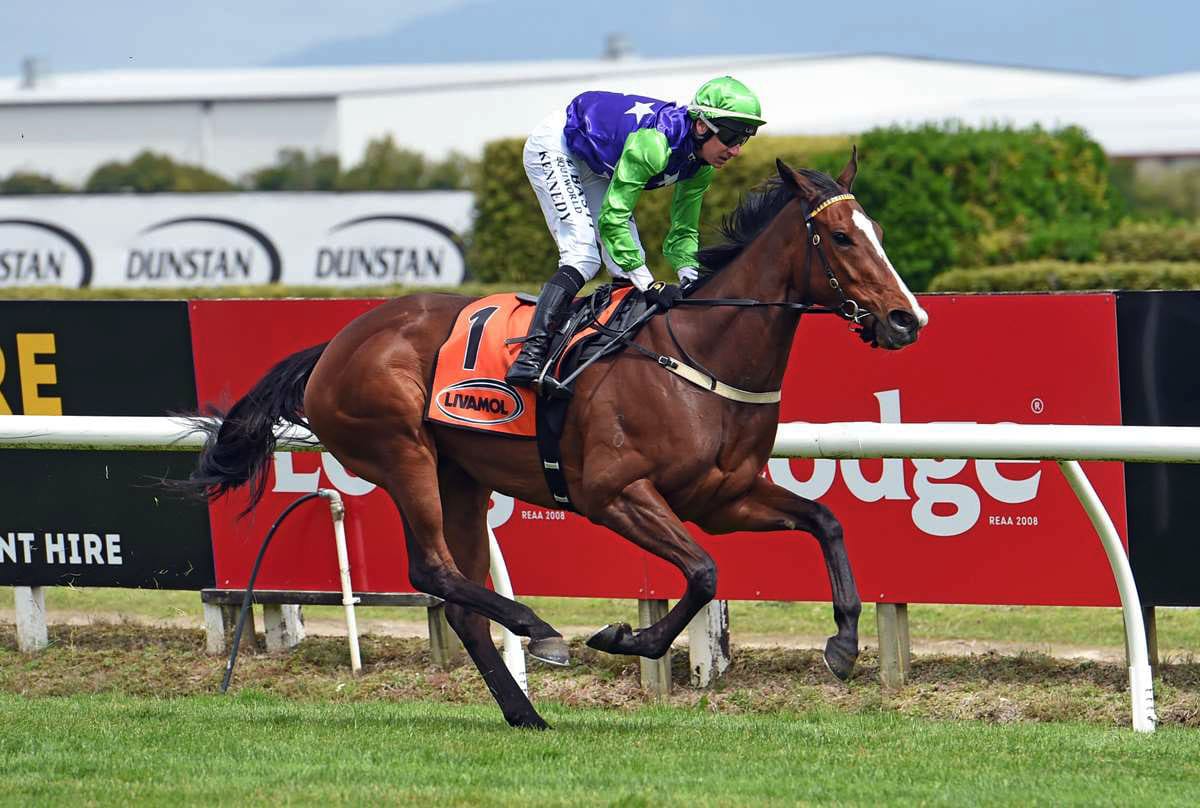 Auckland Cup calling for Sassy Lass