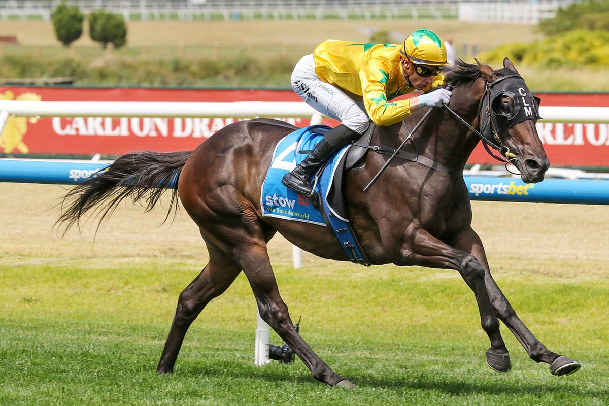 Shanwah cruises to Autumn Classic success