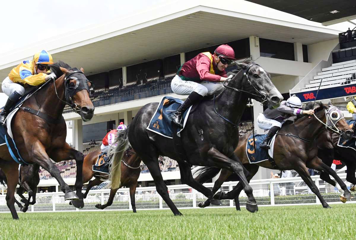 German chasing Te Rapa riches from hospital bedside 