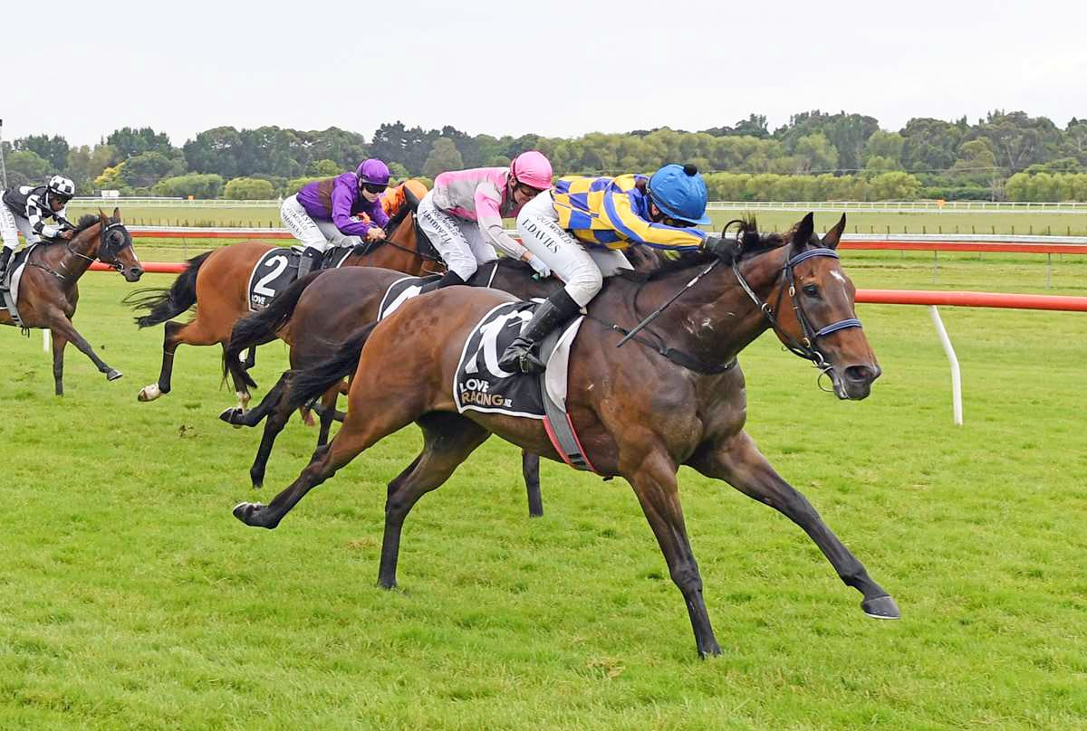 Sword In Stone Eyes Auckland Cup Berth