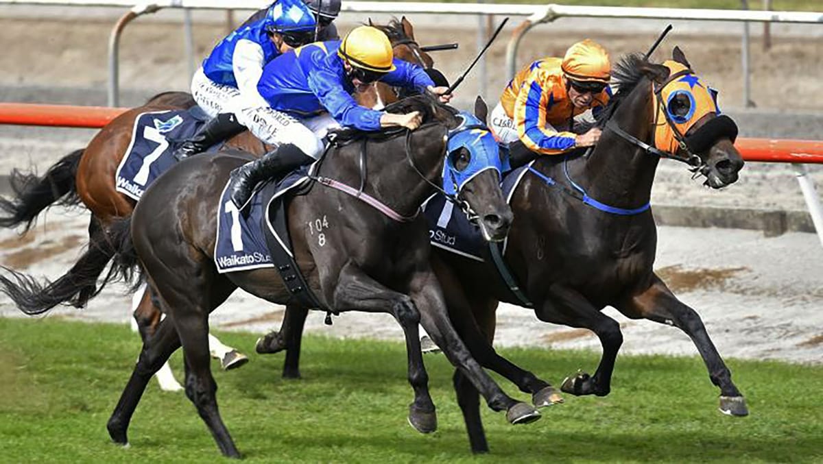 Embellish 4YO headlines memorable day for stud