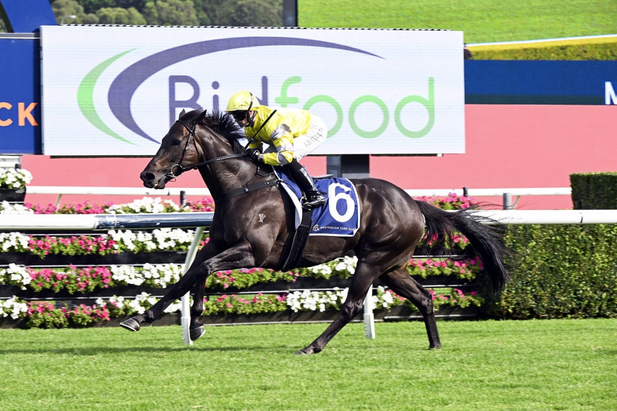 With Your Blessing cracks $500,000 with Randwick romp