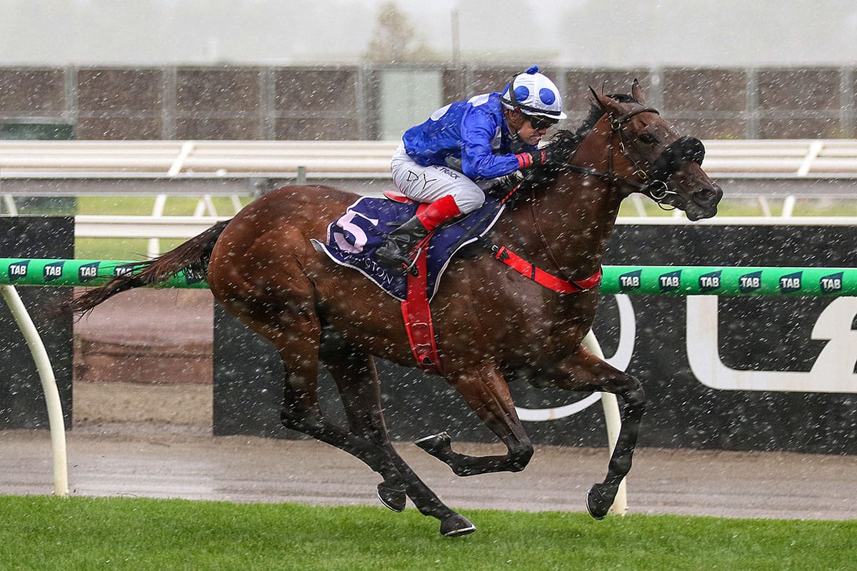 Wrote To Arataki back on her game at Flemington