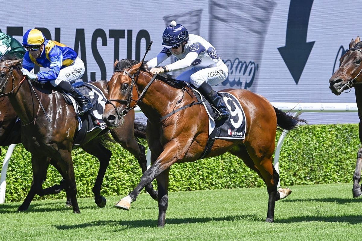 Storming win for Hello Youmzain colt