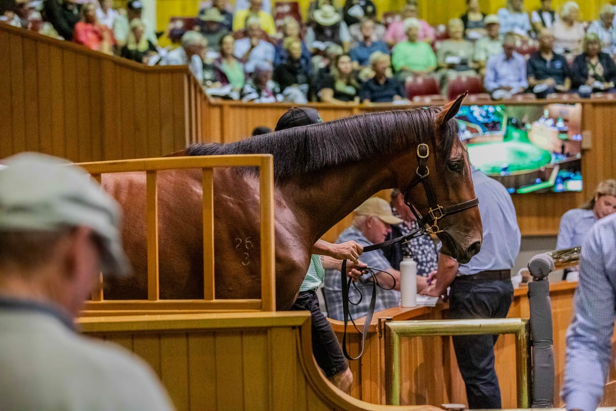 2025 Online Yearling Sale Live on Gavelhouse Plus