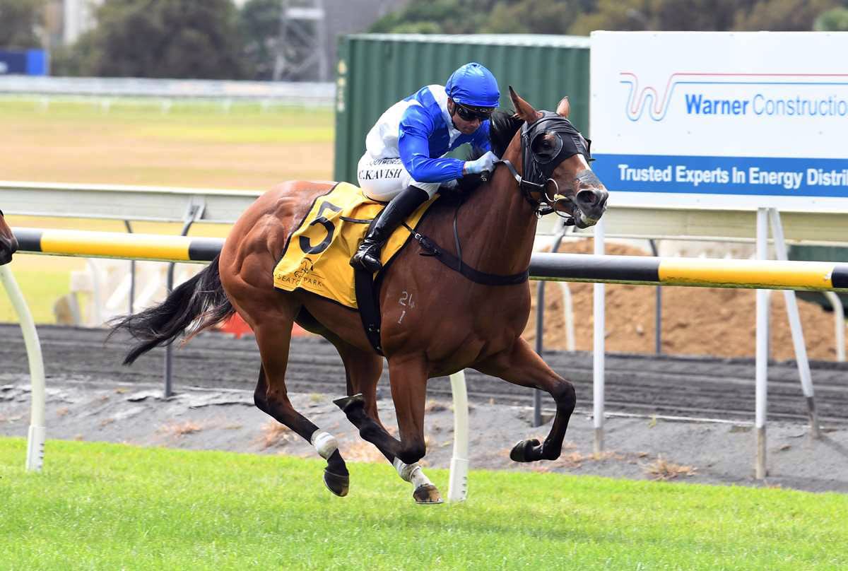 Wynyard Trentham-bound with talented fillies