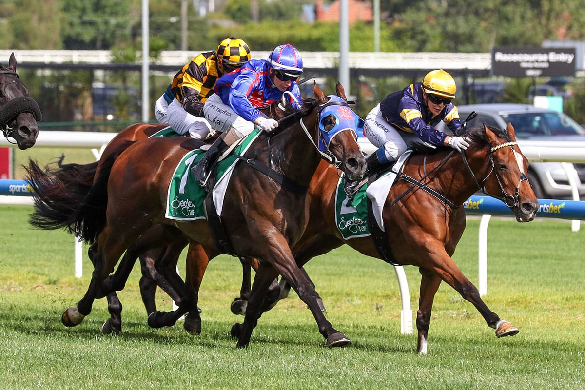 Ayrton Returns After Extended Layoff