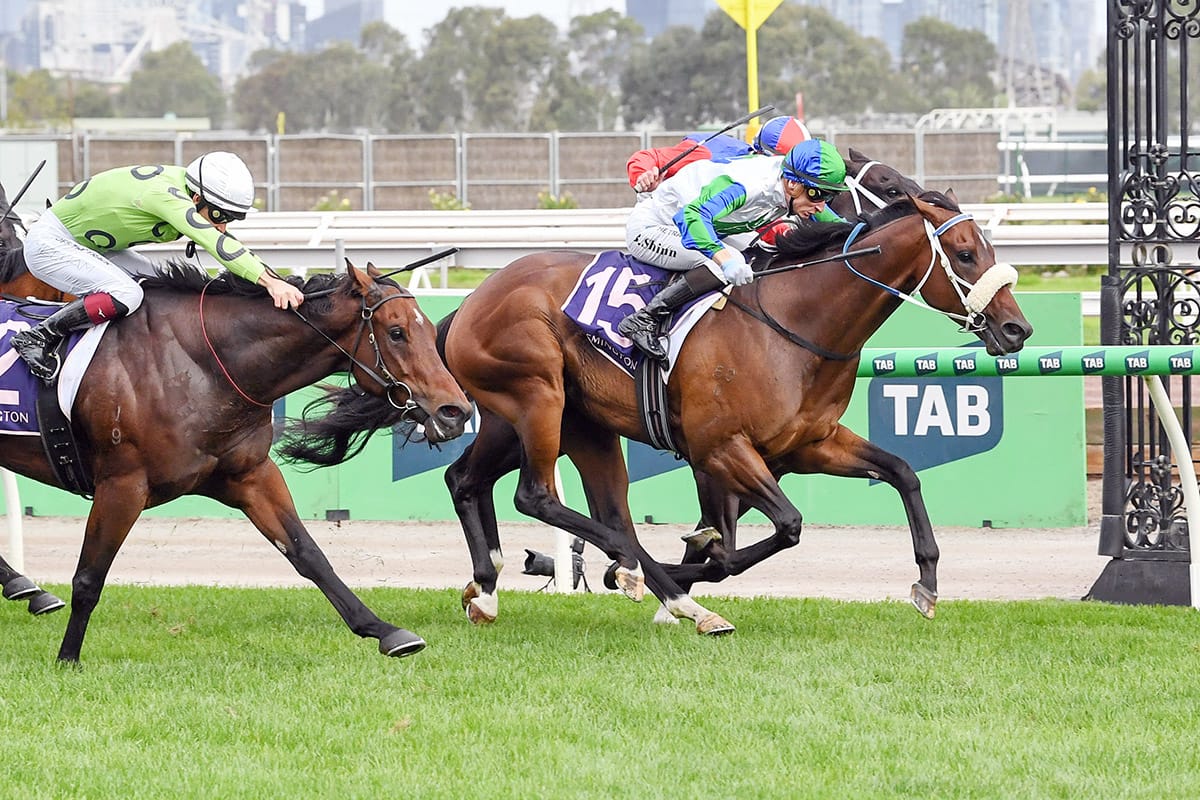 Furnished Codigo snares Flemington victory