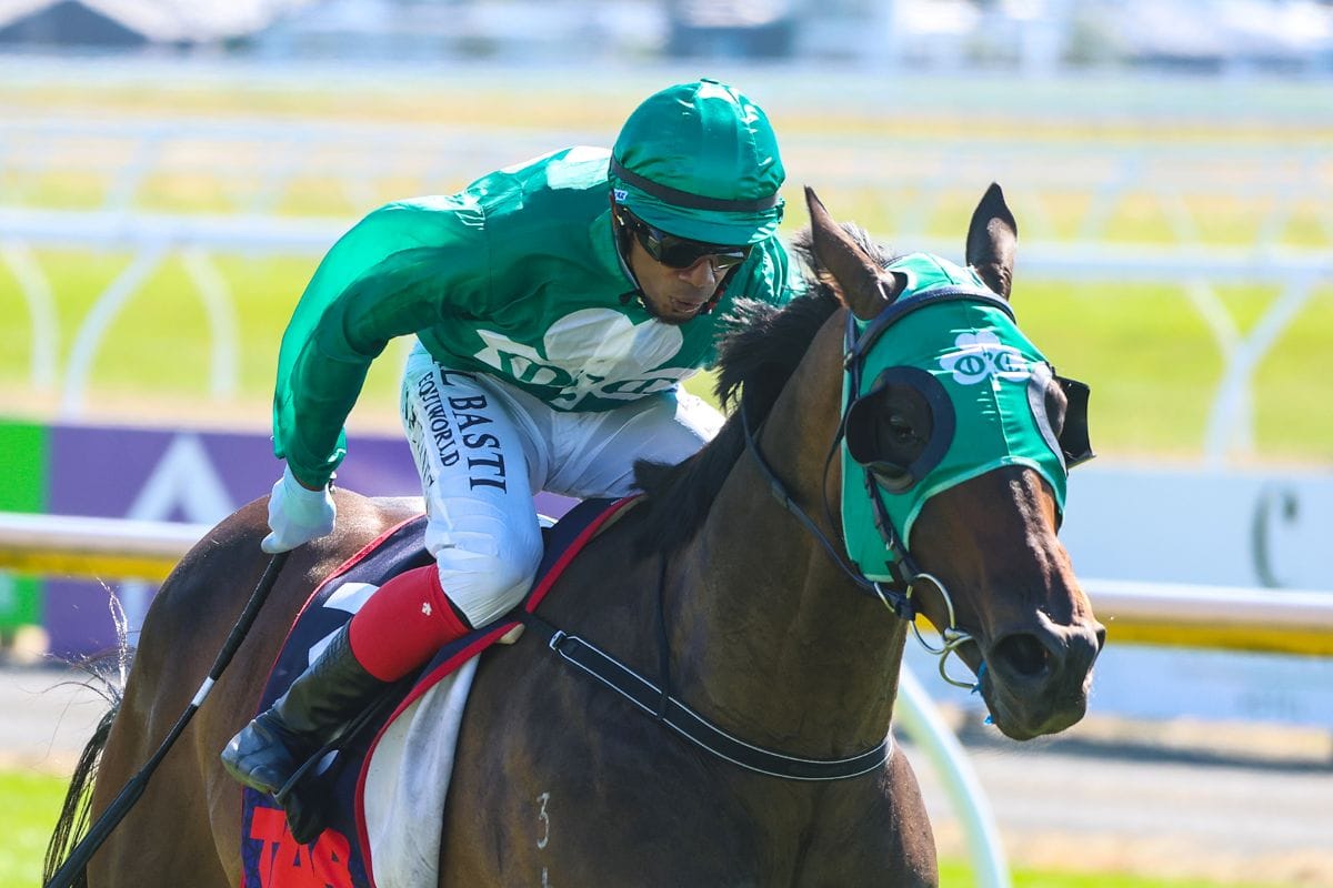 Conor O’Ceirin strikes in the south