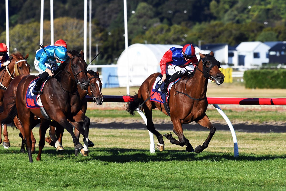 The Doctor Delivers Another Victory at Trentham