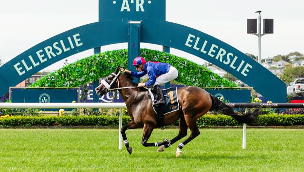 Purton Secured for El Vencedor