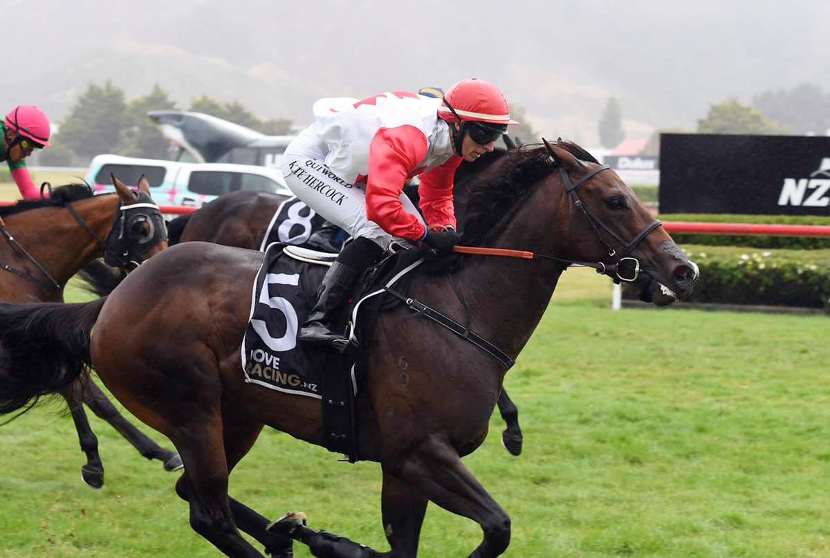 Comeback Mare Primed for Stakes Test