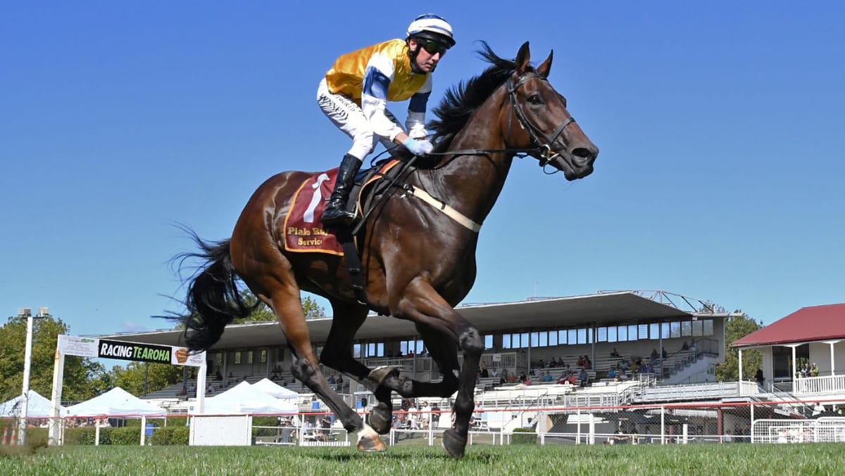 Smart galloper first home again at Te Aroha