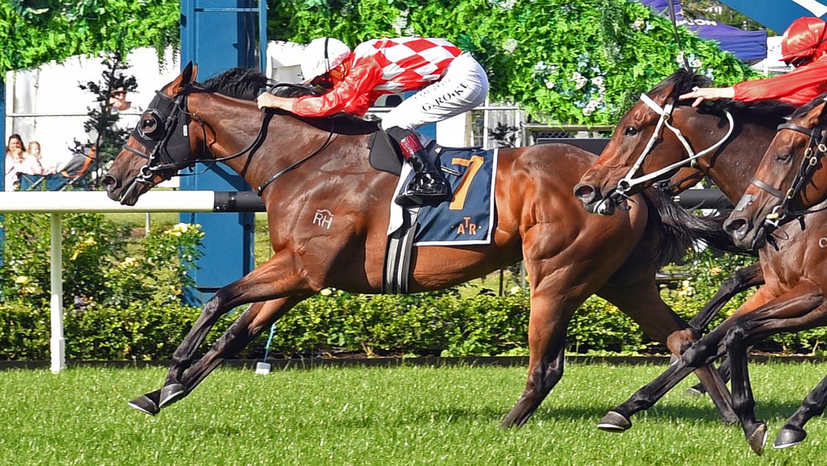 Hasstobeawinner Earns Shot at Group Two Glory