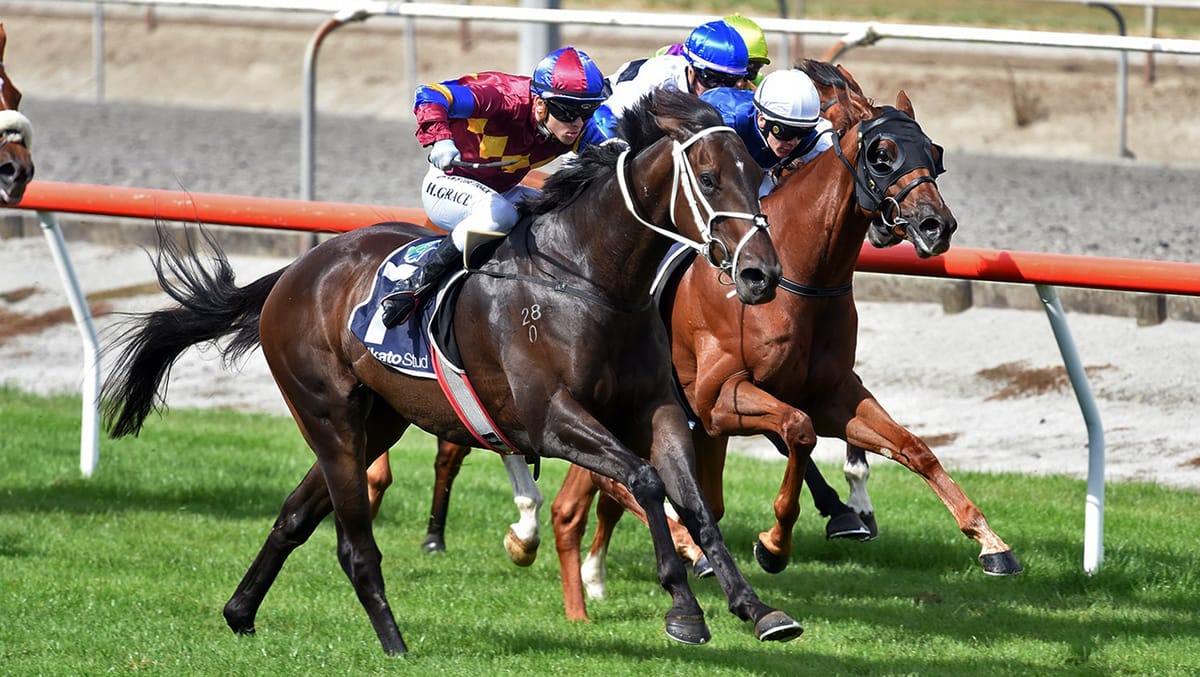 Wairere Falls Classic completes coming-of-age treble for Herbert