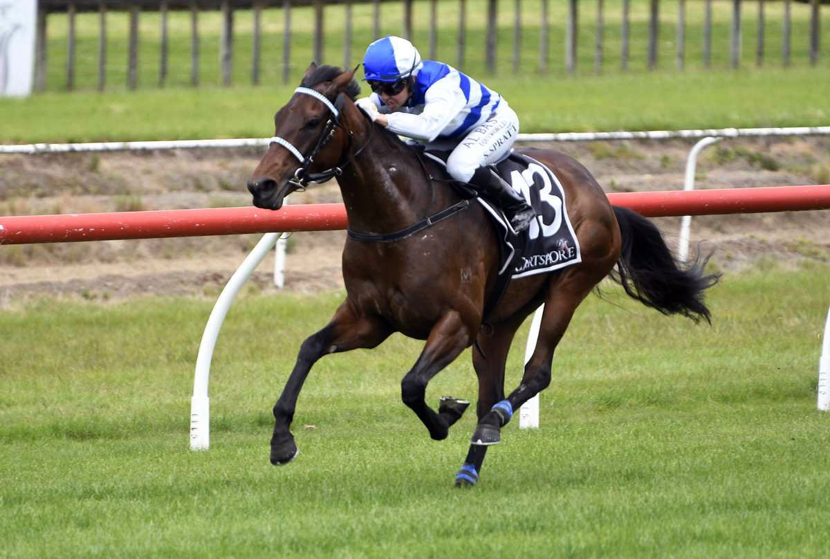 Island Life to add to family’s big week