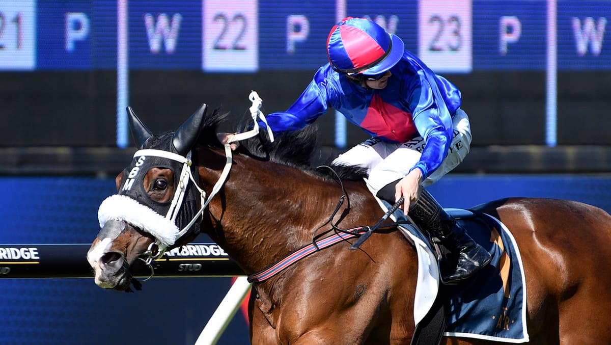 Marsh’s El Vencedor earns top Ellerslie billing