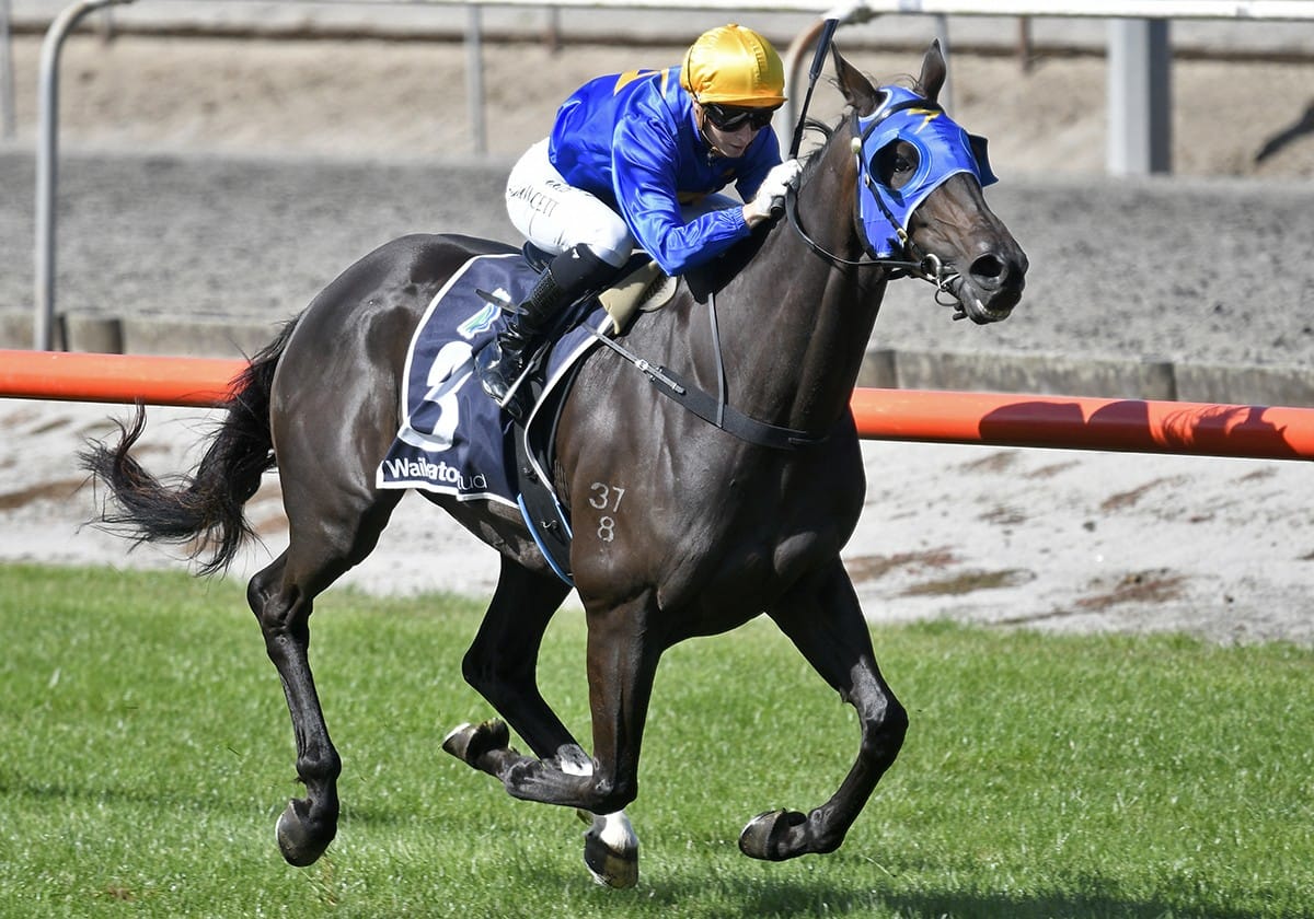 Giacomo takes out South Waikato Cup