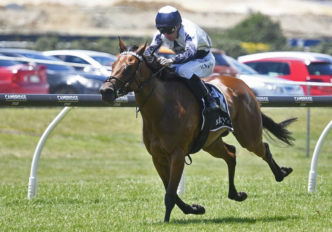 Bergerson following a proven Sires’ path