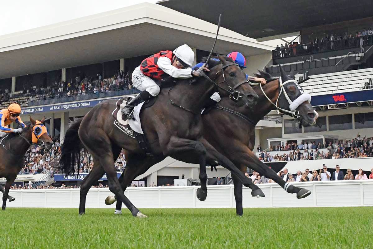 Tancred test for La Crique