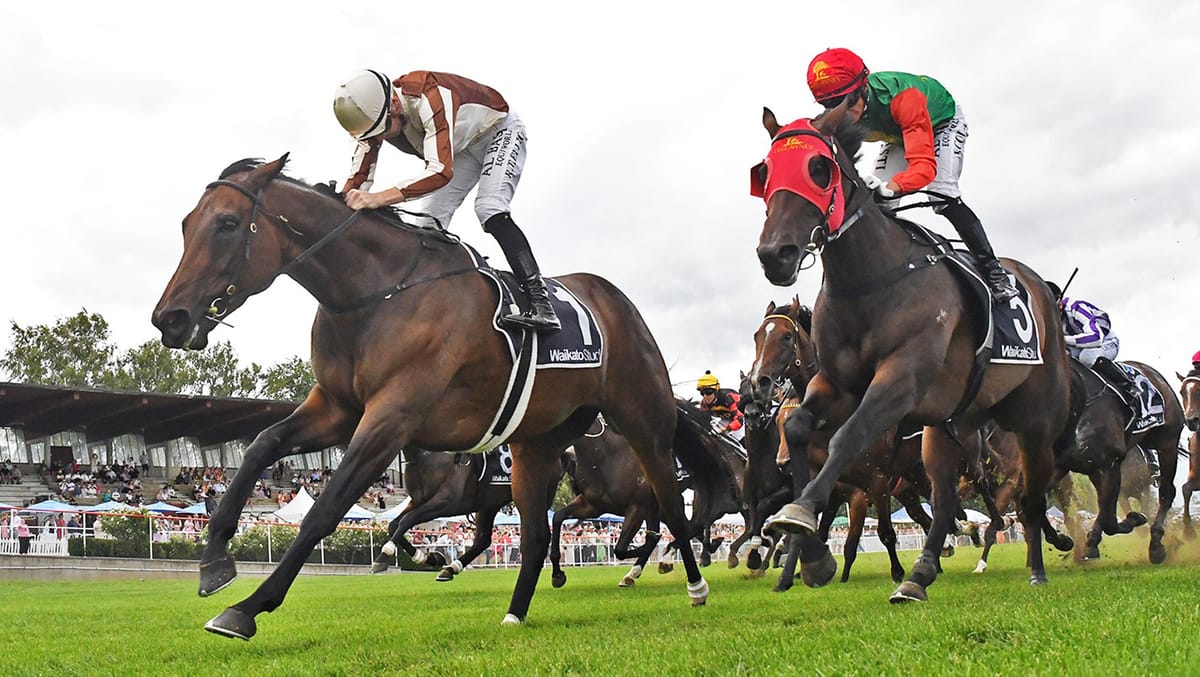 All eyes on Legarto in Breeders’ Stakes