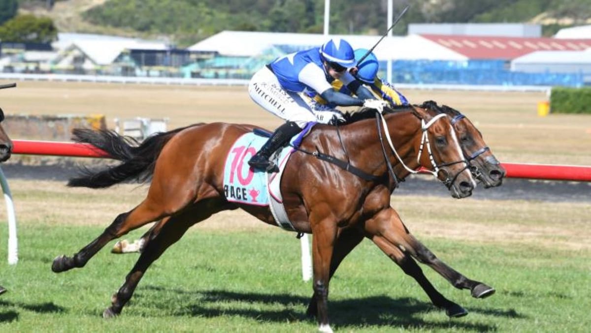 Lhasa unleashes down Trentham chute