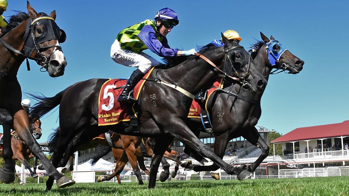 Livid Sky heading for stakes company after convincing win