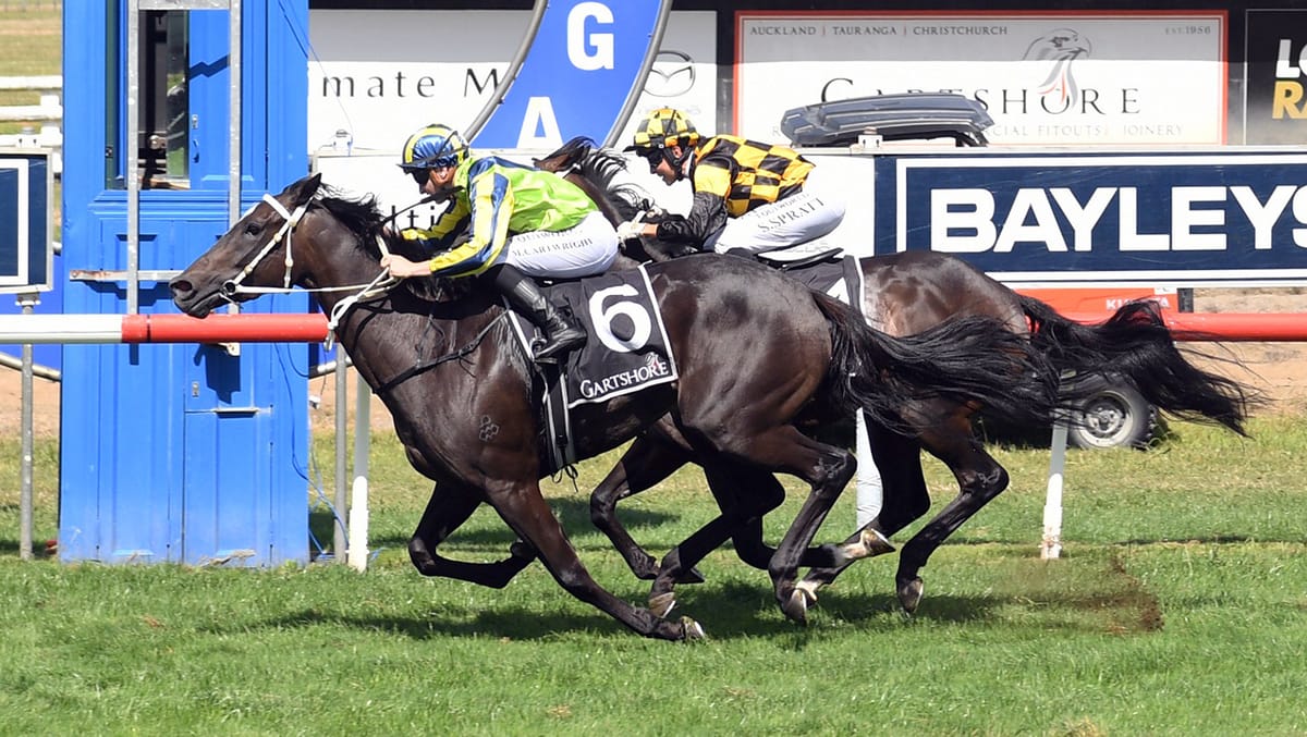 Love Poem prevails in tight tussle at Tauranga