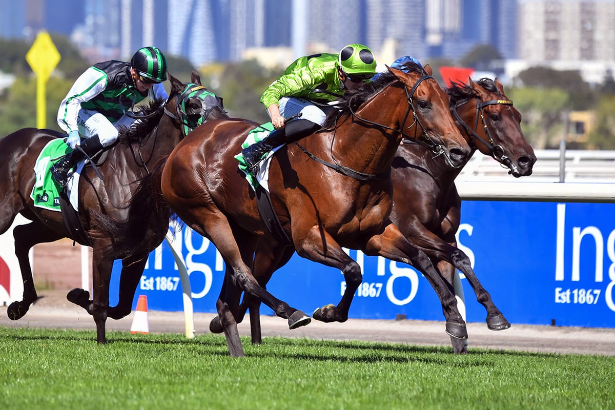 Goodwood back in Group limelight