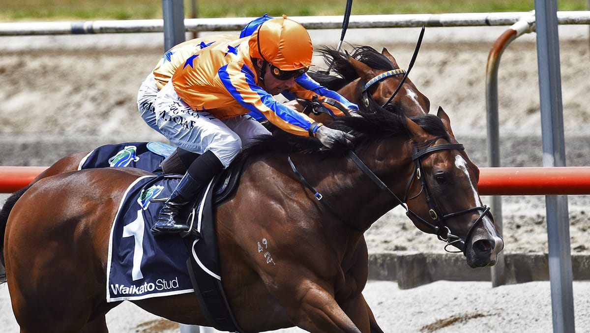 Te Akau hold strong hand on Champions Day