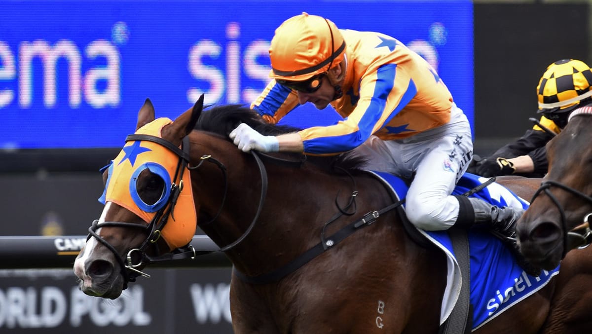 Return To Conquer brings up Te Akau Racing milestone