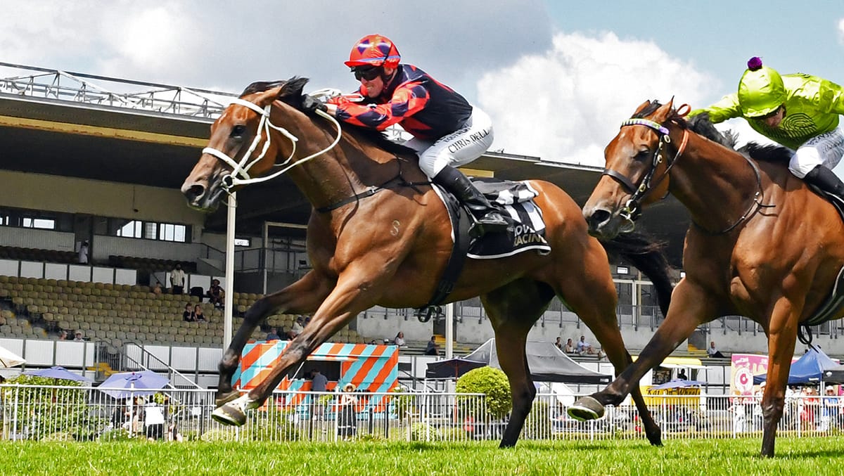 Dell backs Risque Ruler to take next step