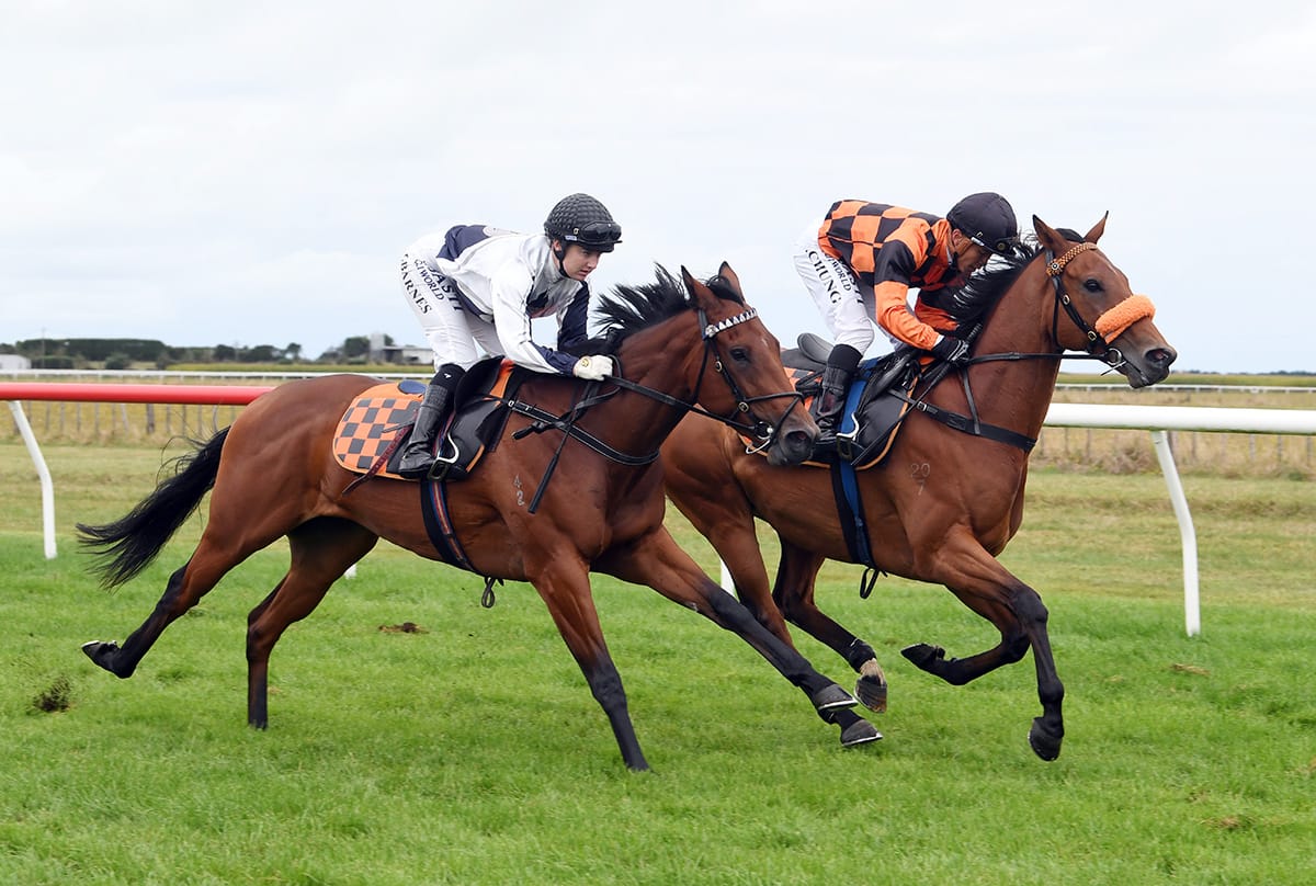 Too Sweet Flies Under the Radar in Sires’ Produce