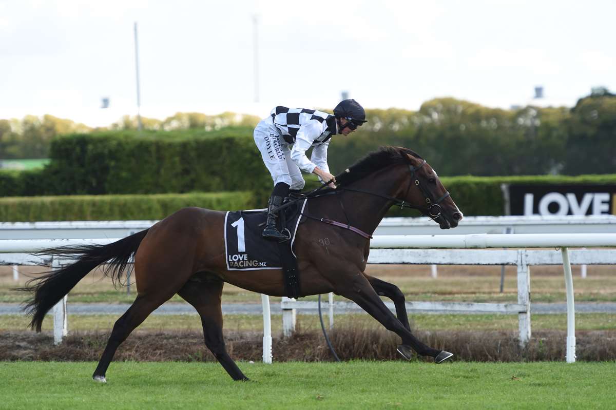 Derby hope Tuxedo enjoys faultless preparation 