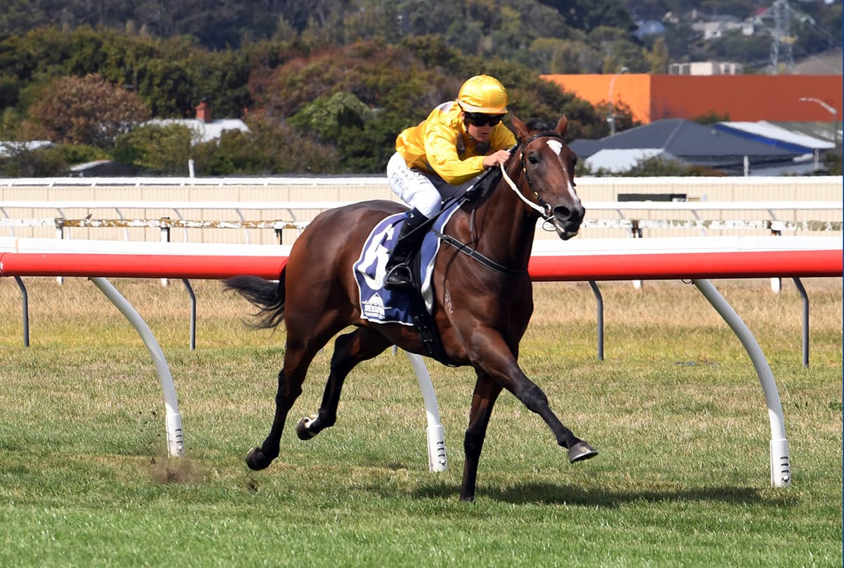 Sales Strategy Yields Two Group One Contenders