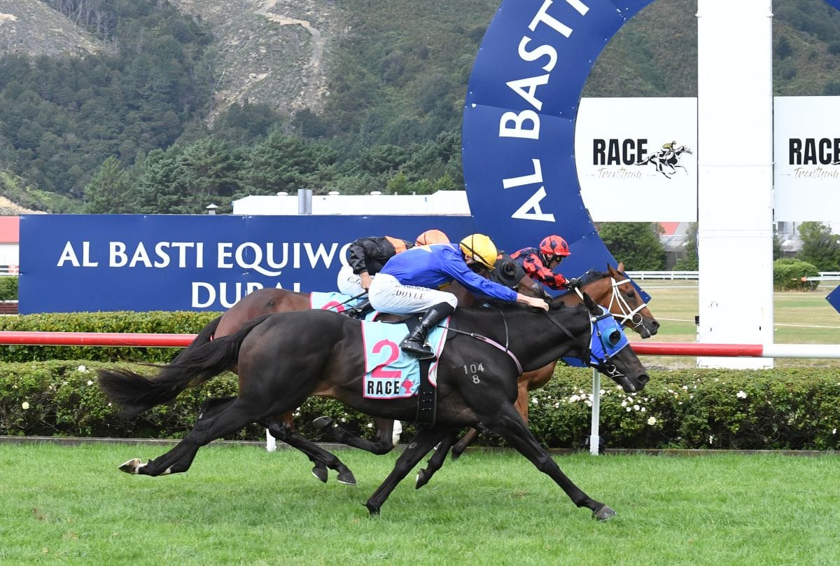 Wolfgang completes Cup-St Leger double