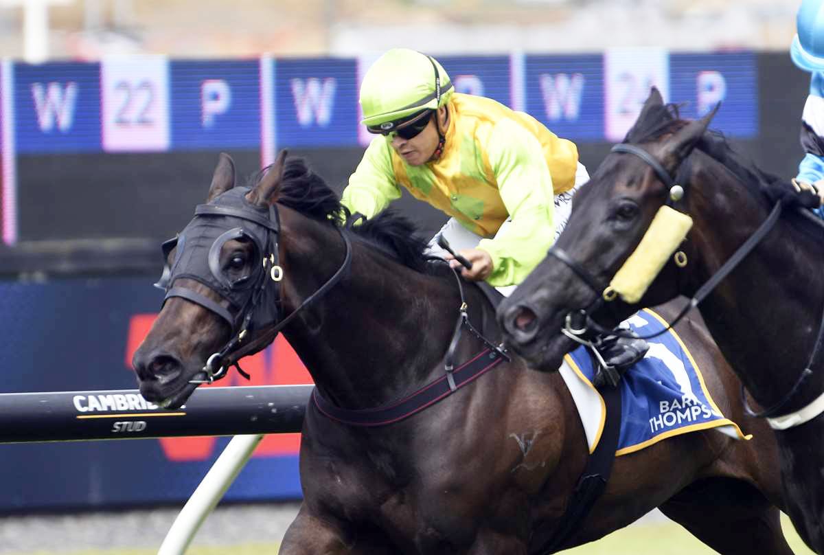 You Say D'Orsay Set for Easter Handicap Target