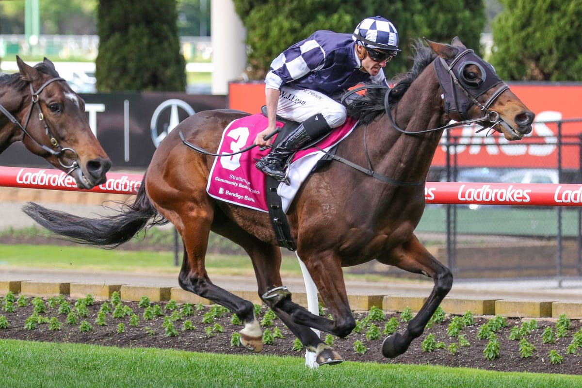 O'Brien: Don't write off Werther