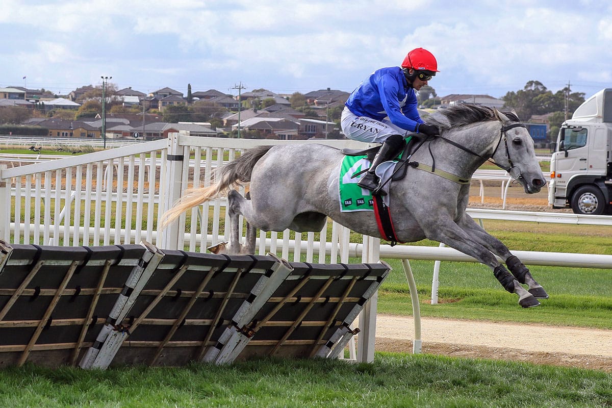 The Cunning Fox sticks to hurdles