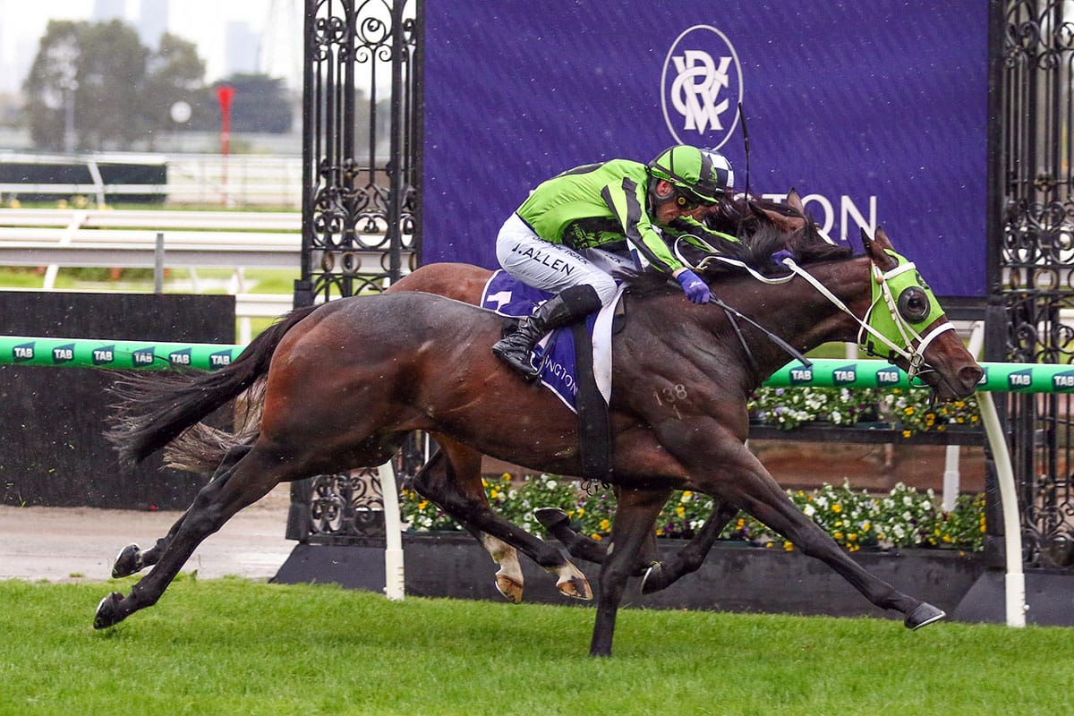 American Wolf digs deep for St Leger triumph