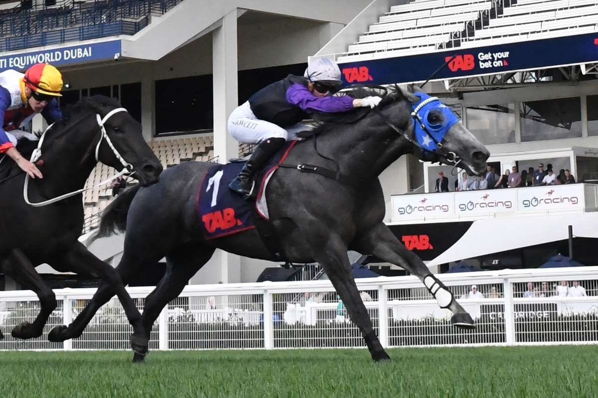 Purdon breaks through with first gallops winner