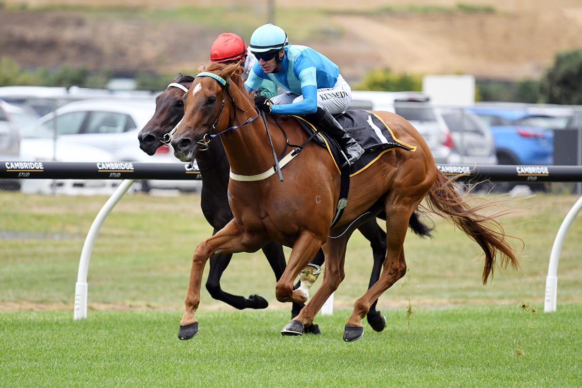 Crocetti Primed for The Quokka