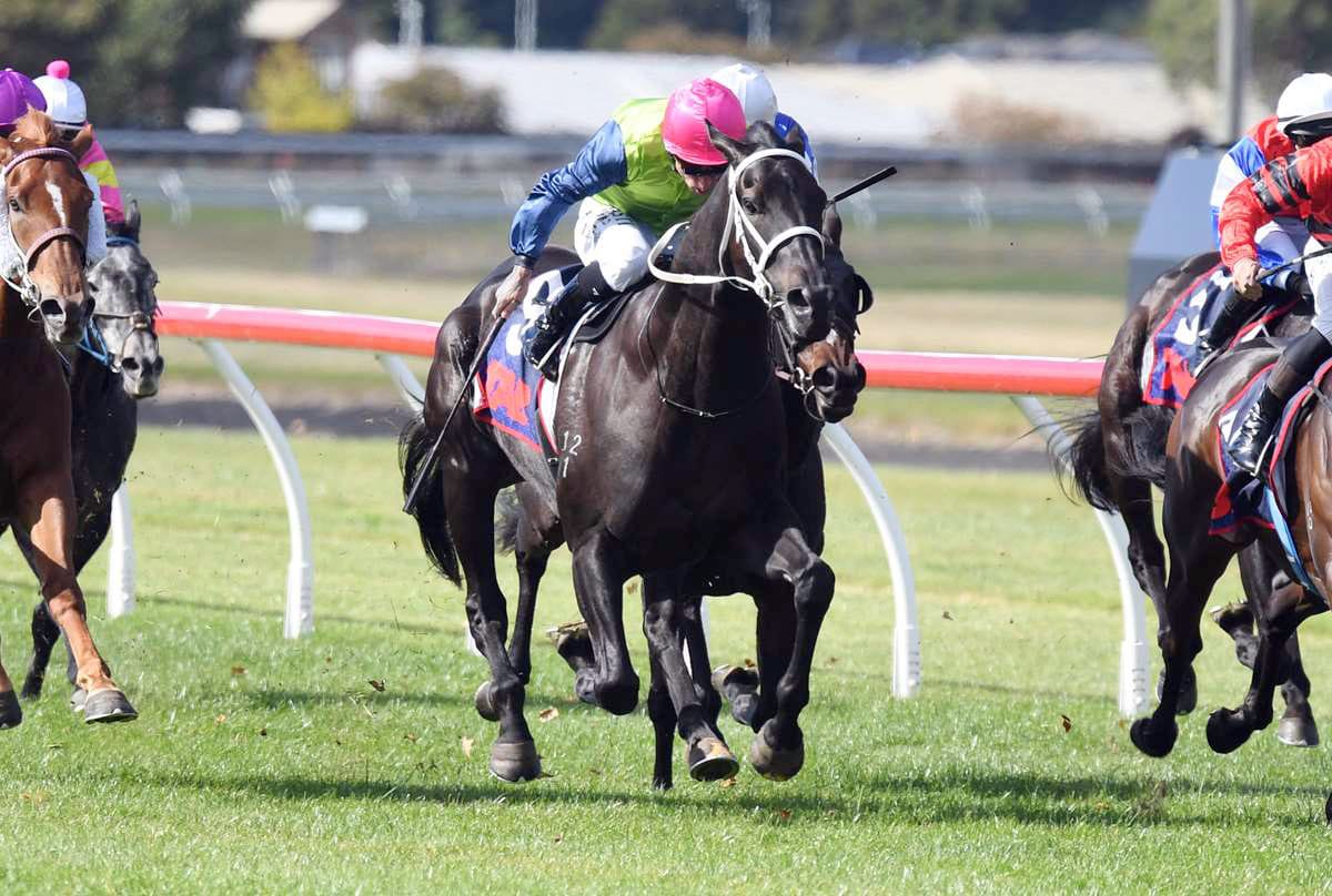 Derby tilt beckons Campbell’s emerging three-year-old